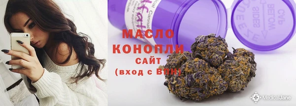 гидра Верея