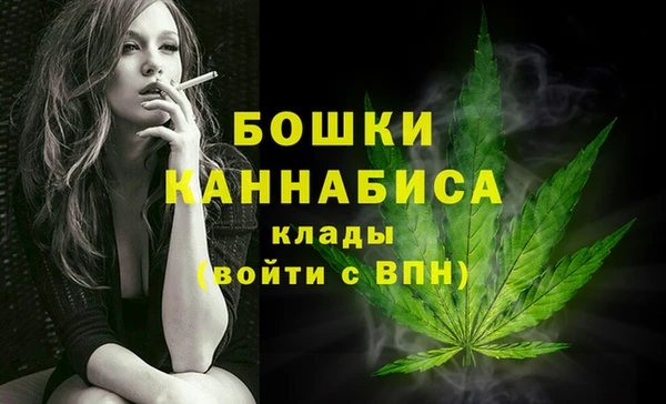 гидра Верея