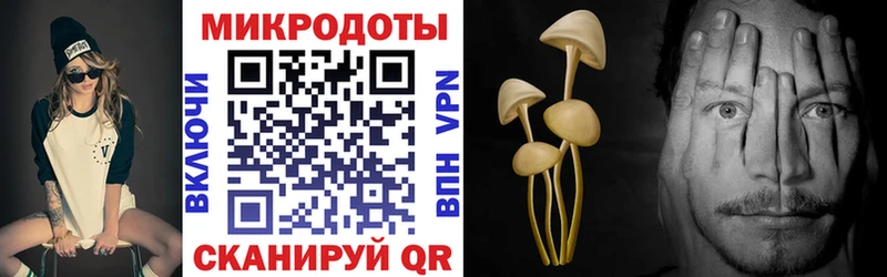 Псилоцибиновые грибы MAGIC MUSHROOMS  OMG рабочий сайт  Кировск 